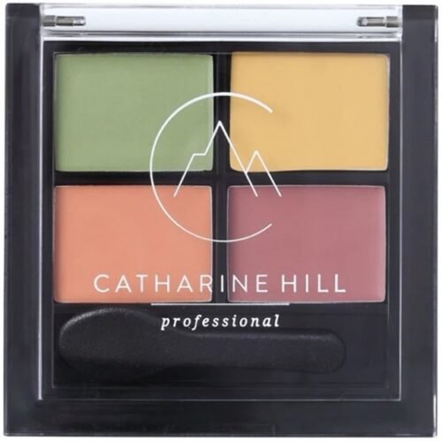 img_3944 PALETA CAMUFLAJE CHILL