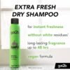 CHAMPÚ SECO - Got2b Extra Fresh 200 ml Champú Seco Extra Frescura